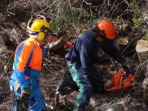 2012 MSH Arosa Energie