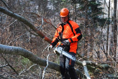 2011 E28 Schwarzenburg