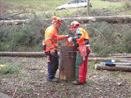 2006 MSK Steinweidli Dez